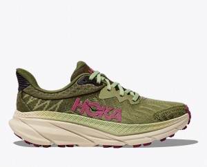 Women's HOKA Challenger 7 Trail Running Shoes Olive Green | 617-BFOSXC