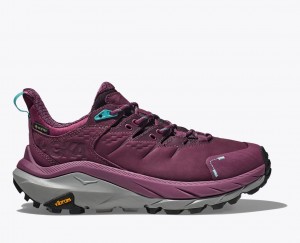 Women's HOKA Kaha 2 Low GTX Hiking Shoes Dark Red | 948-MEJWAZ