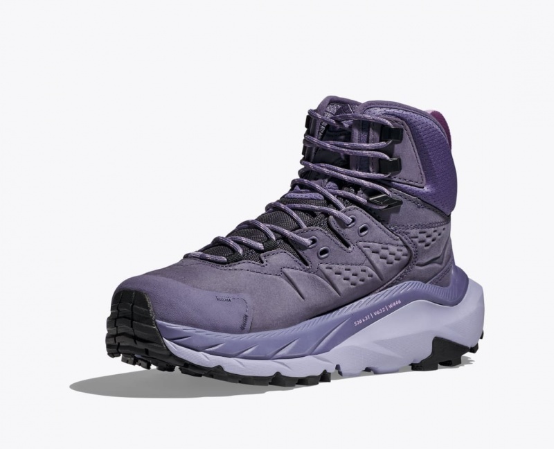 Women's HOKA Kaha 2 GTX Hiking Boots Purple | 458-RWDHTX