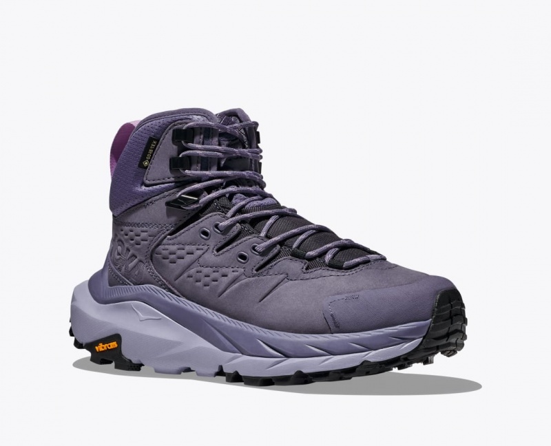 Women's HOKA Kaha 2 GTX Hiking Boots Purple | 458-RWDHTX